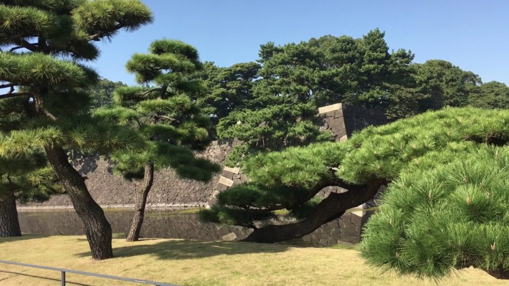 Guide to get the Tour of the Imperial Palace Tokyo