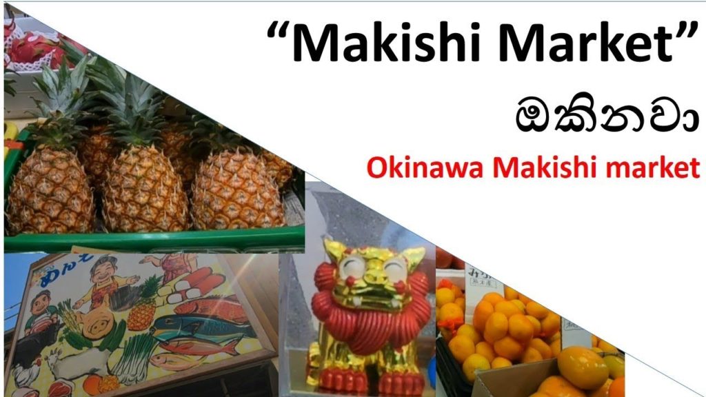 Makishi Market Okinawa - Vlog 2.7