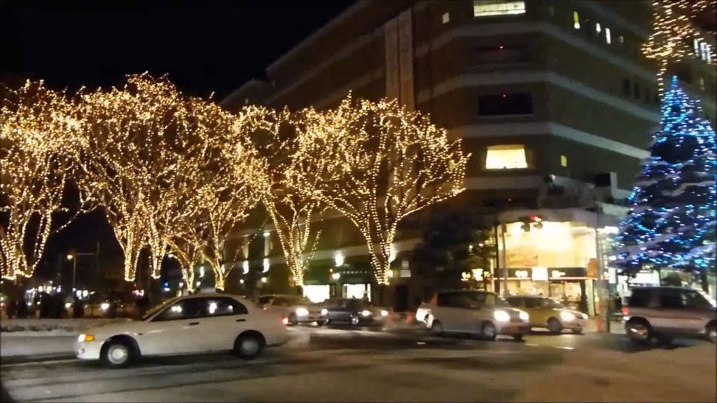 【車載動画】SENDAI光のページェント【降雪】