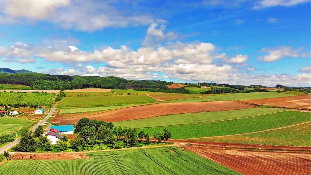 北海道 パノラマ田園風景 4K Hokkaido panorama rural scenery drone picture