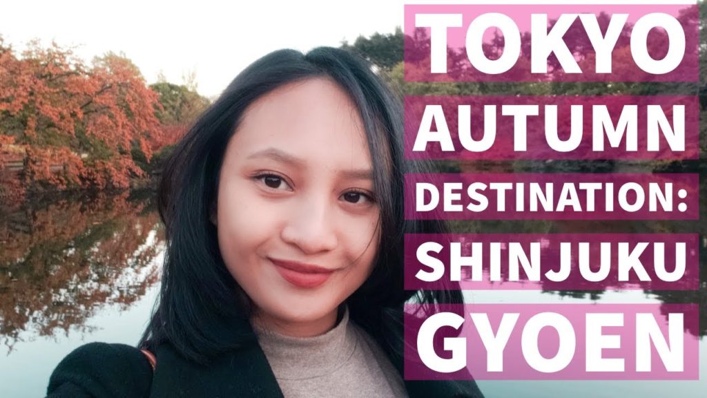 TOKYO AUTUMN DESTINATION: SHINJUKU GYOEN #tokyotravel #japantravel #tokyoautumn #紅葉 ＃新宿御苑