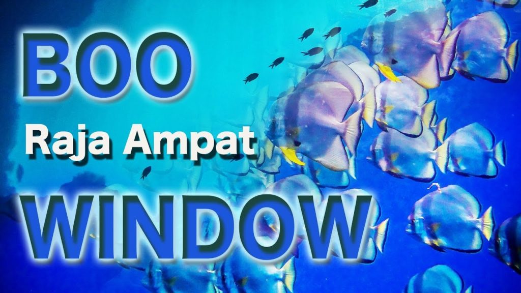 Scuba Diving Raja Ampat. You can swim through this window. Discover Boo Window
