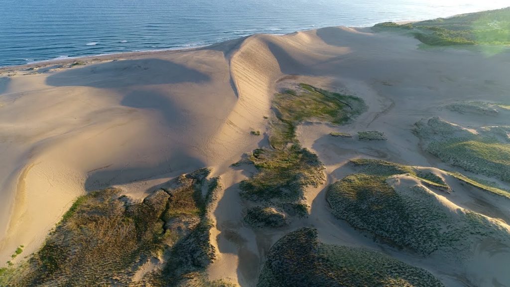 ALAS of Japan - Tottori Sand Dunes［鳥取砂丘4K空撮］
