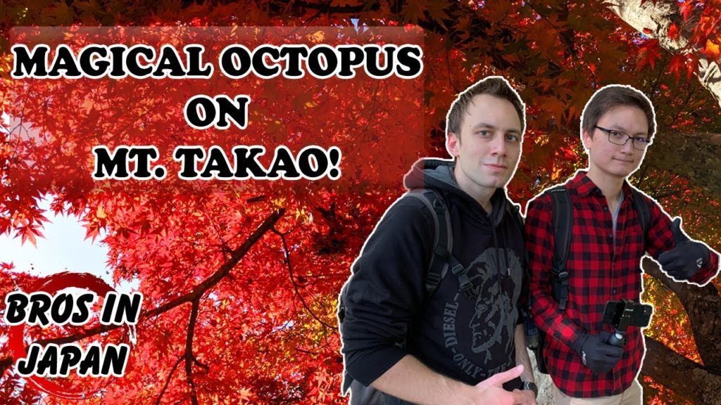 Best Spots to Visit Near Tokyo: Mt. Takao - Don't Miss the Octopus!