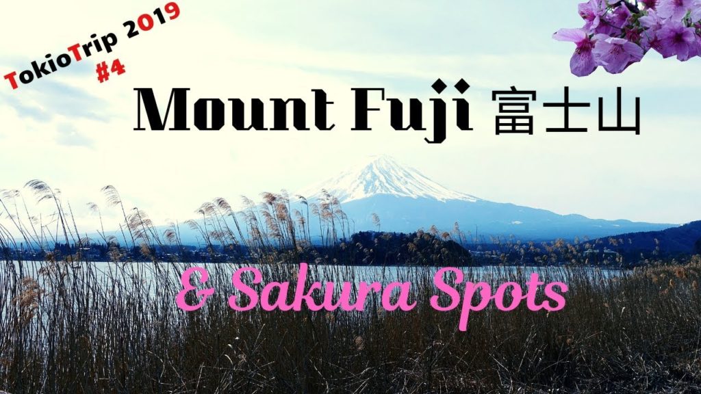 Mount Fuji I Sakura Spots/ Cherry blossom parks  (TokioTrip 2019 #4)