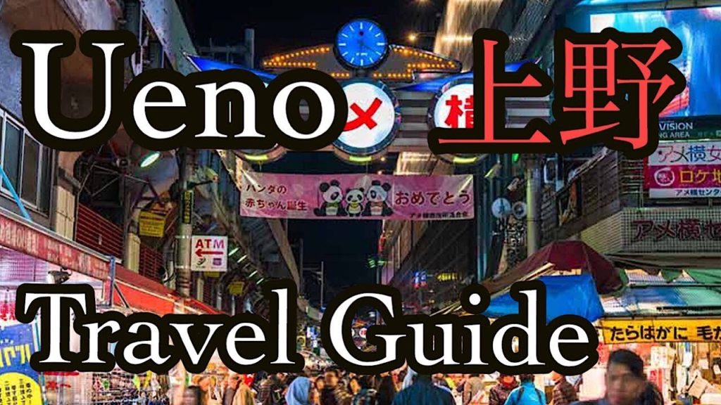 Ueno Travel Guide /Tokyo Travel/Ameyoko/Ueno zoo/Ueno Park