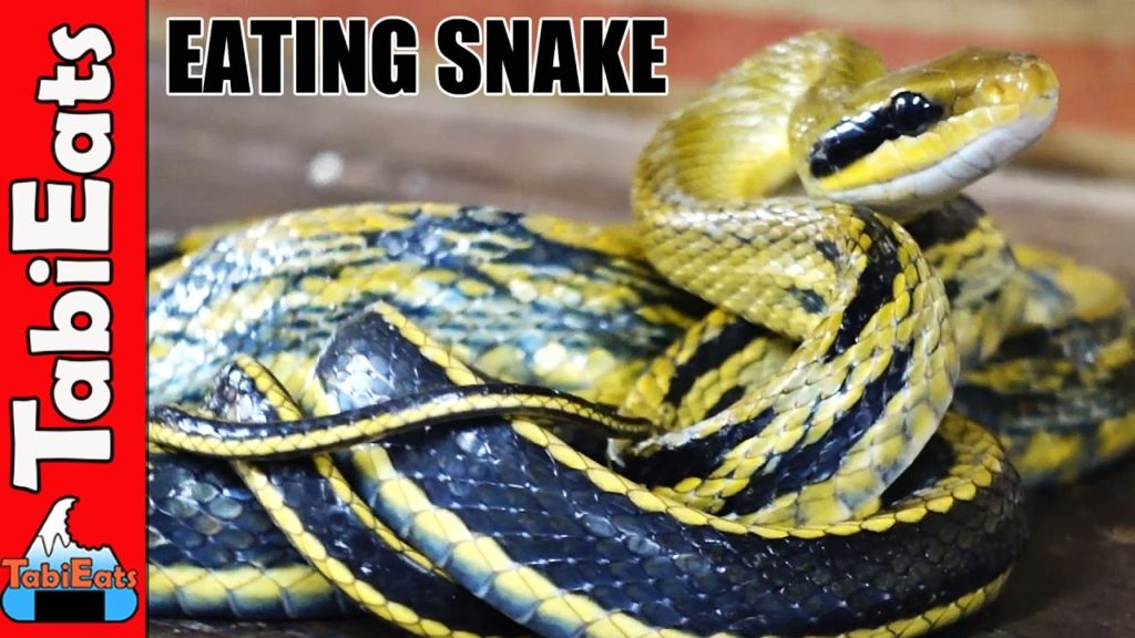 EPIC Chinese Food Tour in Hong Kong-Snake Soup