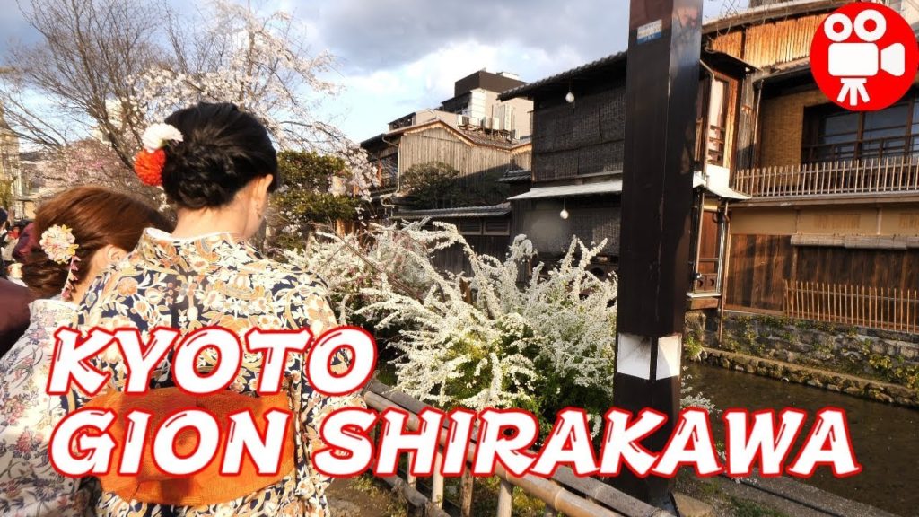 KYOTO GION SHIRAKAWA DORI CHERRY BLOSSOMS WALKING FROM KAMO RIVER 2019 - 4K 60FPS HDR