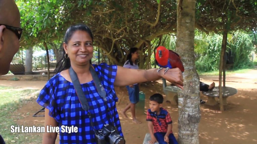 where is Hot water springs in Sri lanka where is Hot water springs in Sri lanka