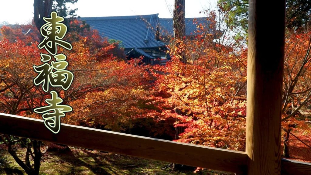 KYOTO【Autumn colors】Tofukuji Temple. The colours were already past their peak but beautiful 東福寺 #4K