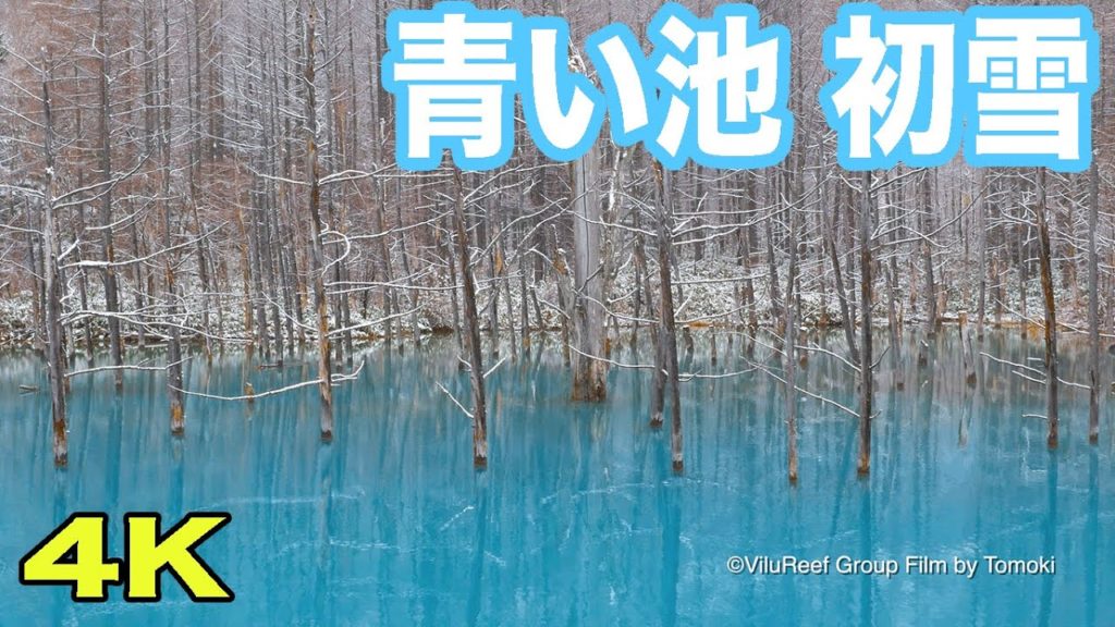 ［4K］初雪の青い池 4K /First snow at Blue Pond/The Beginning