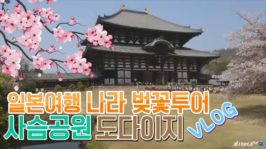 [진상처리반]일본여행 나라 벚꽃투어 사슴공원,도다이지 VLOG 일본벚꽃 日本 旅行 Japan travel Nara 奈良旅行