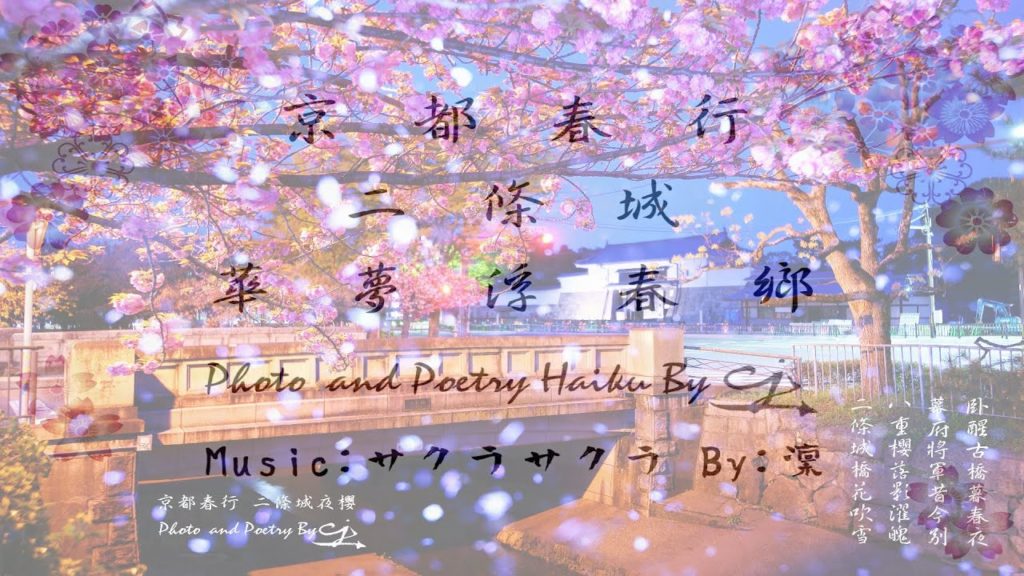 京都春行 桜色の二条城(華夢浮春鄉)と夜桜吹雪ライト‐アップ桜(世界初の夜桜吹雪)Spring Travel in japan with cherry blossoms in Nijo Castle.