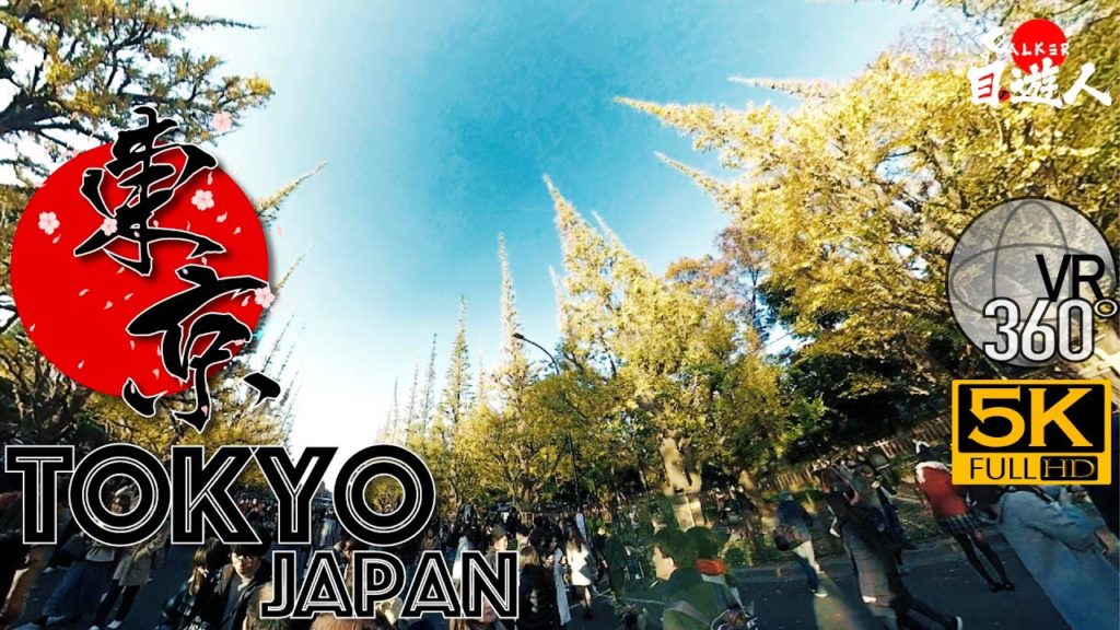 [360°VR Tokyo] Meiji Jingu Gaien Ginkgo Festival 2019 #01 - 360 Panorama VR