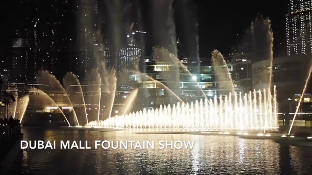 Dubai Travel Vlog with Wildcat Fitness