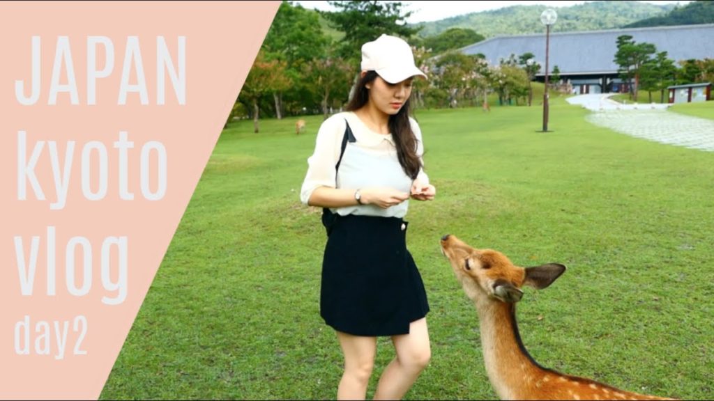 Vlog/Japan kyoto travel vlog /day2 Nara deer park日本京都自由行 奈良公園 鹿鹿很兇（志津香/炊飯/奈良鹿公園)