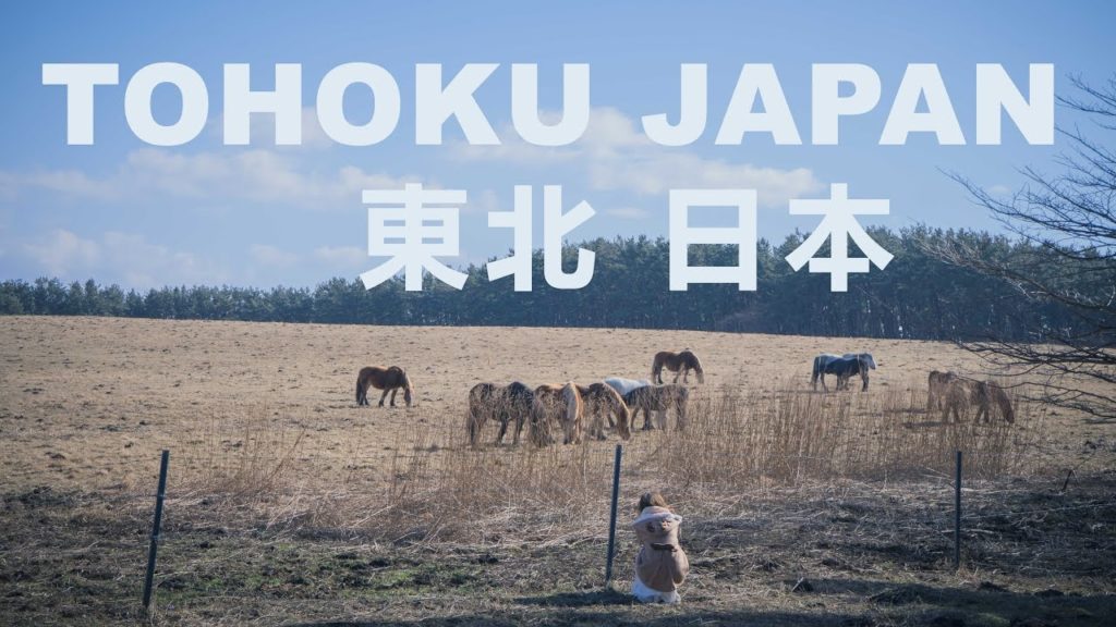 東北日本旅游　Tohoku Japan Travel Vlog in March