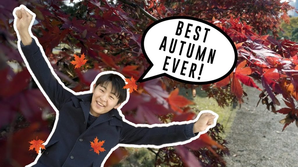 The most beautiful autumn leaves in Tokyo | Hama Rikyu Gardens