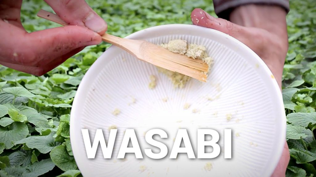 This Is Where Real Wasabi Comes From (What You're Eating Is Fake) - Staples, Episode 8
