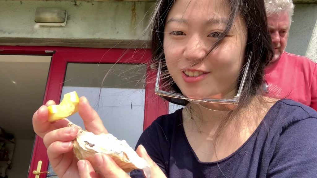 아일랜드 귀농라이프, 나는 이런 삶이 좋아  | Ireland travel vlog