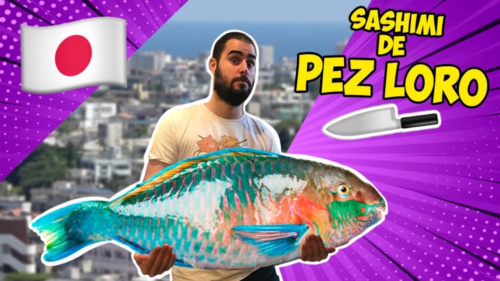 🍣 REACCIONANDO a COMIDA EXÓTICA de JAPÓN en OKINAWA 🐠 ¿SASHIMI de PEZ LORO a QUÉ SABE? 🐡 🍣 REACCIONANDO a COMIDA EXÓTICA de JAPÓN en OKINAWA 🐠 ¿SASHIMI de PEZ LORO a QUÉ SABE? 🐡