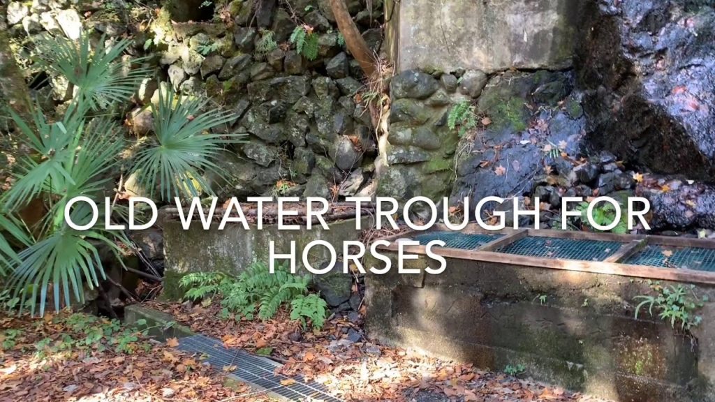 Okutama Mukashi Michi — Hiking In Tokyo