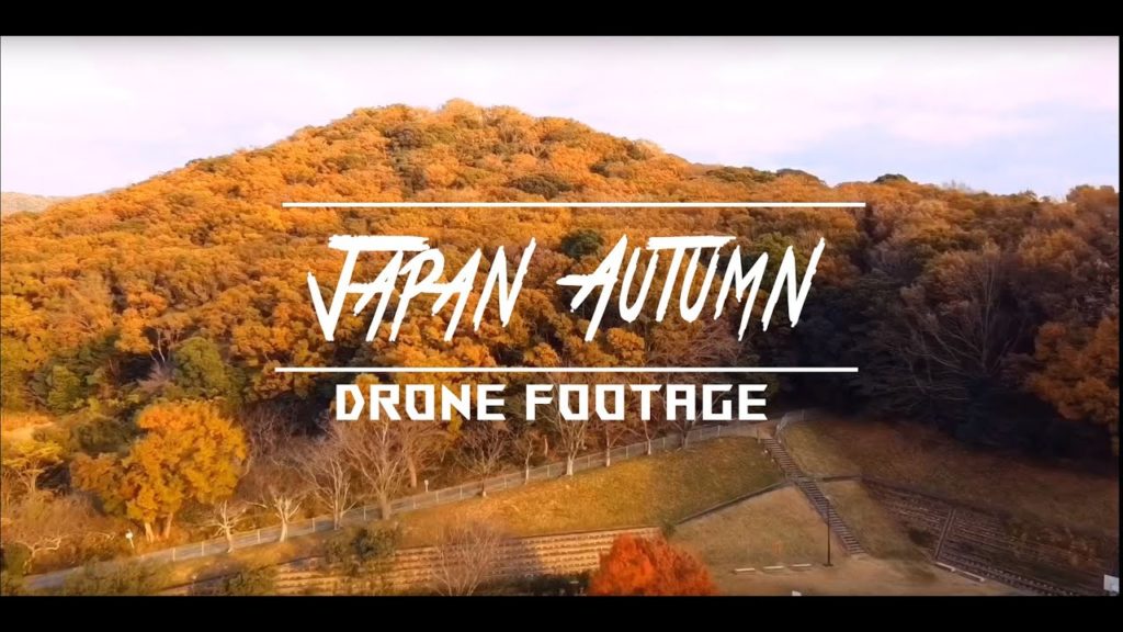 Japan Autumn Drone Footage ( DJI Mavic Mini )