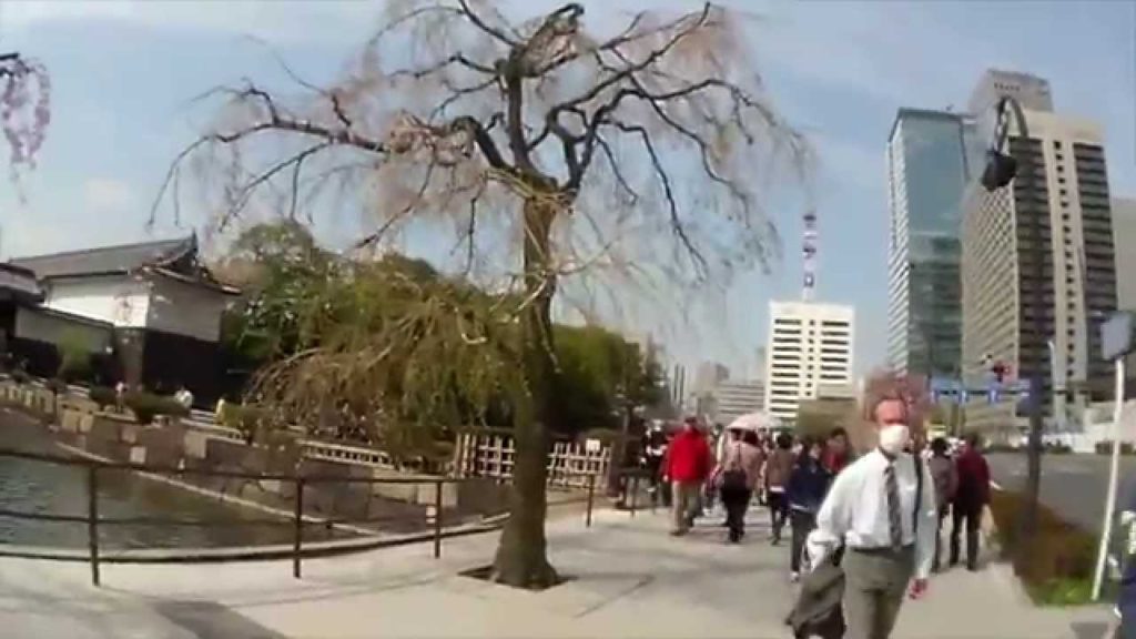 Walking in Japan #08 Cherry Blossom in East Garden of the Imperial Palace