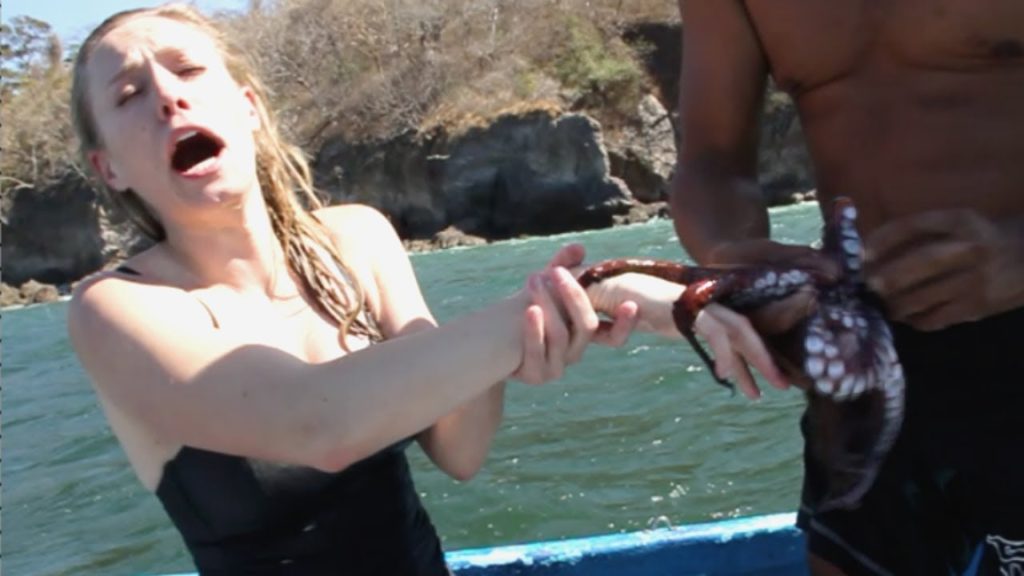 OCTOPUS ATTACK! — Costa Rica | Bucket List Adventures | How 2 Travelers OCTOPUS ATTACK! -- Costa Rica | Bucket List Adventures | How 2 Travelers