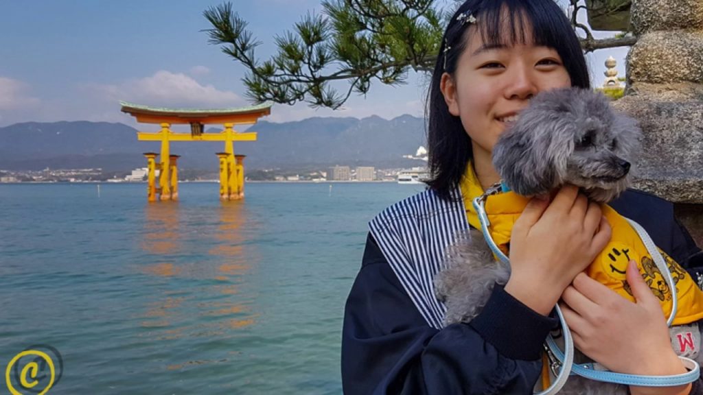 Around The World Cruise - Part 2 - Okinawa to Mumbai