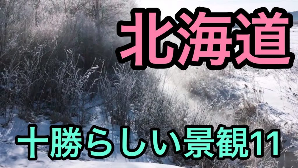 キラキラと輝く　ダイヤモンドダスト💎