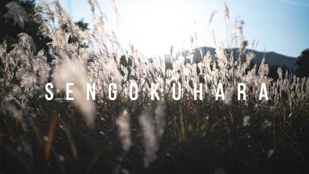 HAKONE & SENGOKUHARA | Japan cinematic travel vlog