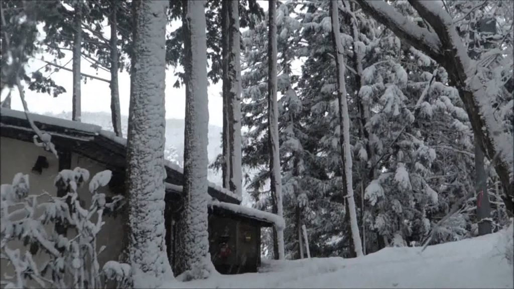 Japan Travel- Winter Wonderland: Kamimoku International Village