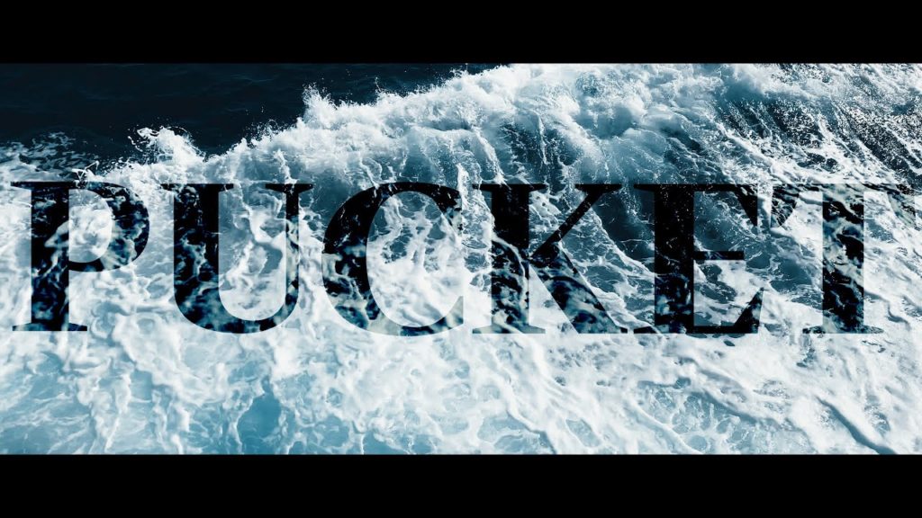 소니가 이 영상을 좋아합니다. (ft. 태국 푸켓&피피섬 여행) 소니가 이 영상을 좋아합니다. (ft. 태국 푸켓&피피섬 여행)