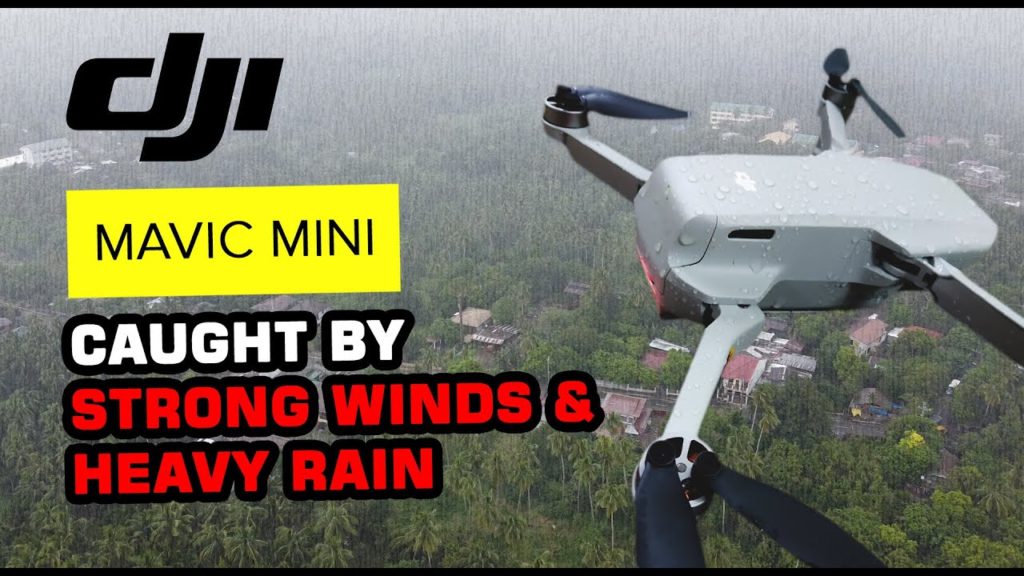 DJI Mavic Mini | Under Strong Winds and Heavy Rain