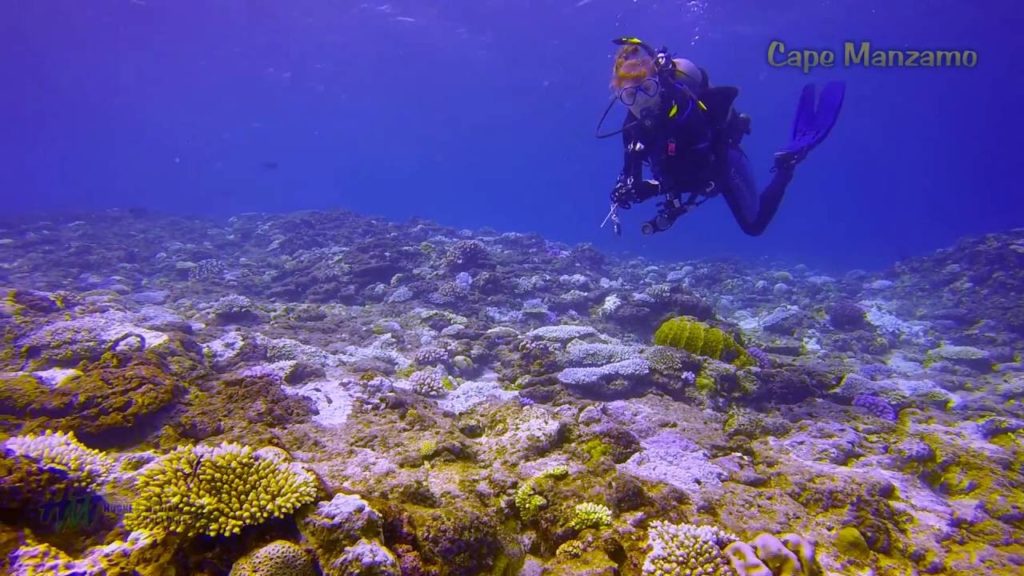Exploring Okinawa - Cape Manzamo Dive