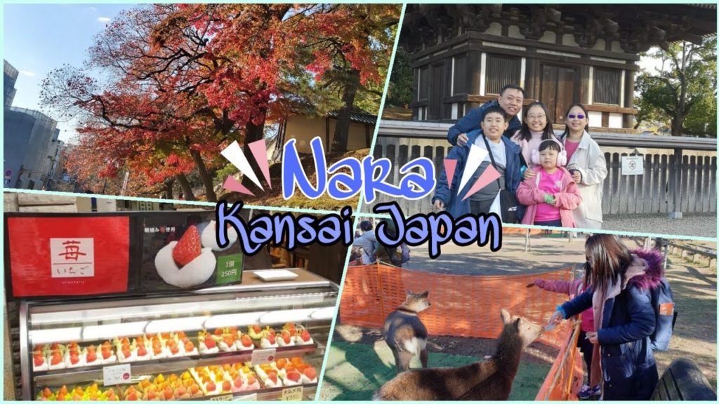 Nara Japan Ft. Temples, Deers, Pasteries (Full Day Trip) #Nara
