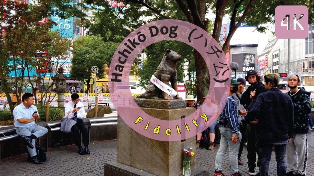 【4K】Hachikō ハチ公 | Shibuya I Tokyo | Japan 【4K】Hachikō ハチ公 | Shibuya I Tokyo | Japan