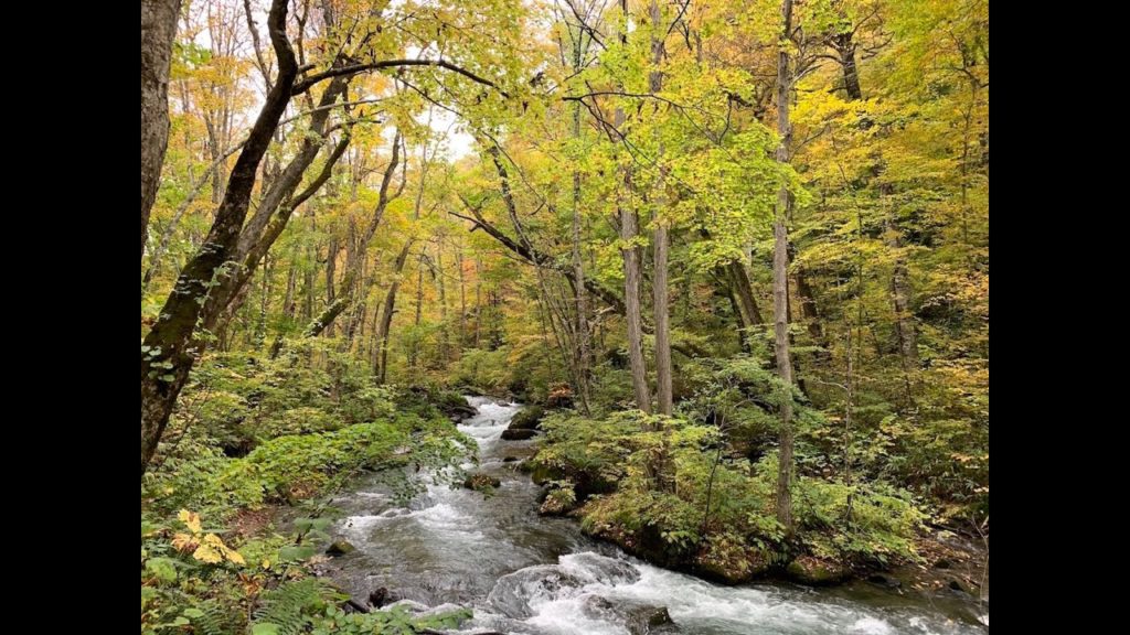 Tohoku Driving Course in Autumn 2019, Part2: Oirase, Lake Towada
