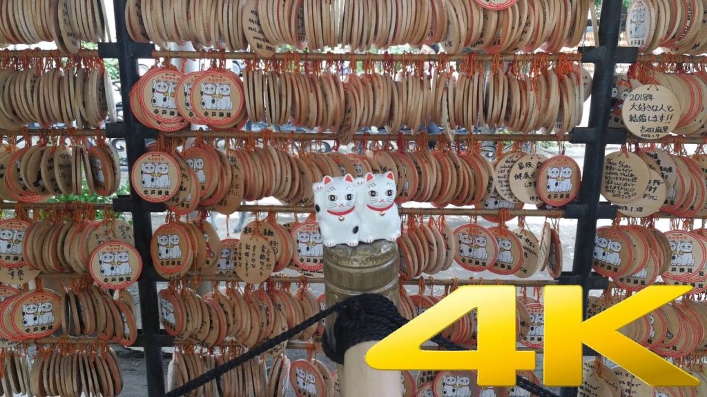 Walking tour - Imado Shrine, one of the "cat shrines" in Tokyo. 4K UHD