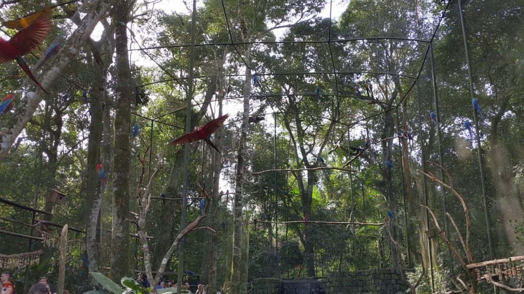 Parque das Aves (Bird Park) – araras flying