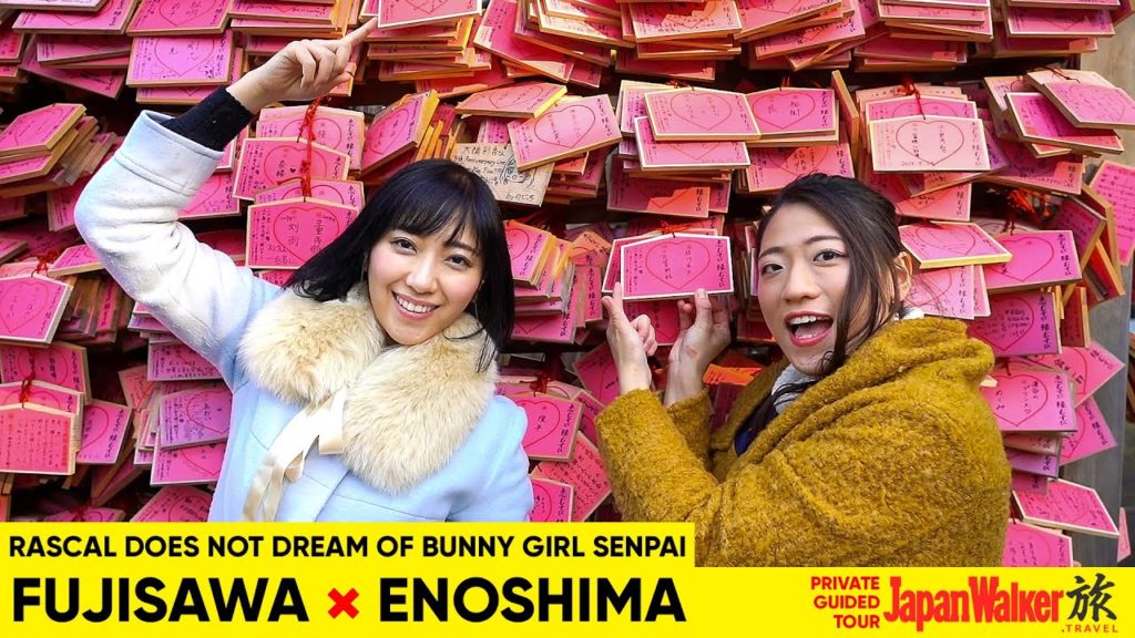 Seishun Buta Yarou (Aobuta) Private Guided Tour in Fujisawa & Enoshima (Kamakura) Seishun Buta Yarou (Aobuta) Private Guided Tour in Fujisawa & Enoshima (Kamakura)