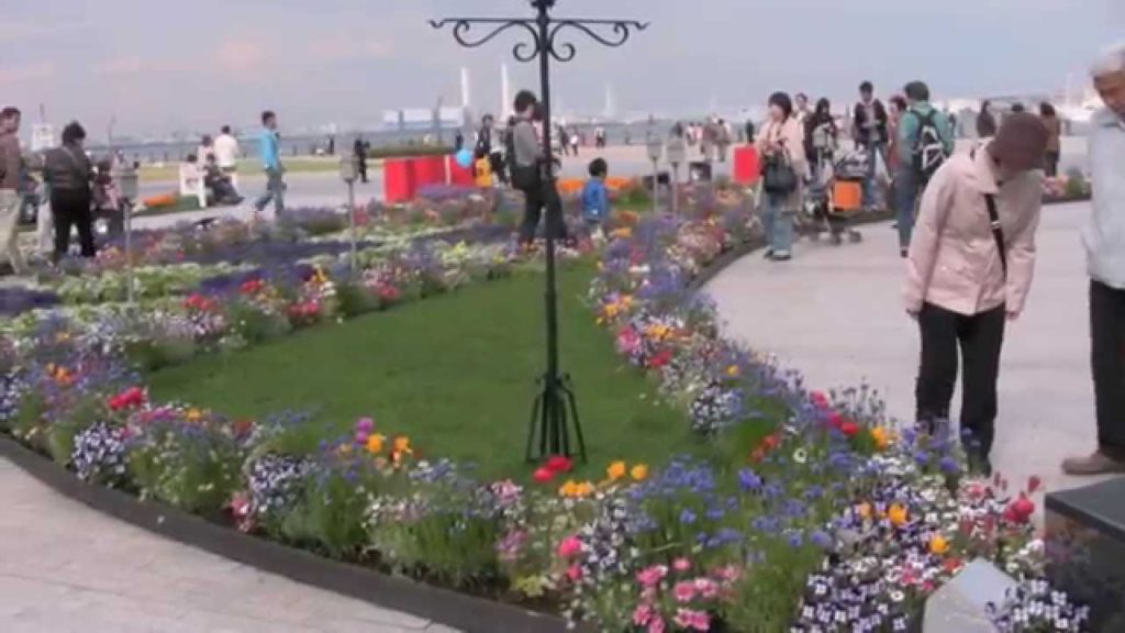 Yokohama Flower Garden – 横浜赤レンガ倉庫フラワーガーデン Yokohama Flower Garden - 横浜赤レンガ倉庫フラワーガーデン