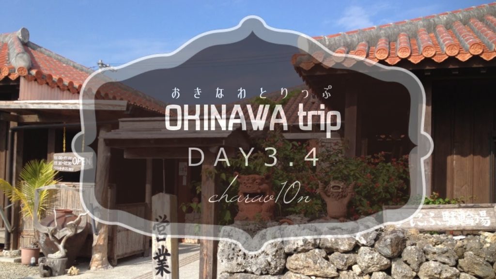 【vlog】おきなわとりっぷDAY3.4　/ OKINAWA trip DAY 3.4