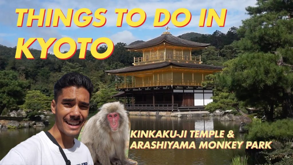 Things To Do In Kyoto, Kinkaku-ji + Arashiyama Monkey Park | Japan Travel Vlog