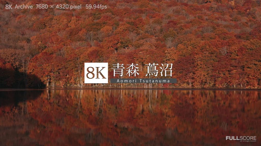 [8K footage] Aomori Tsutanuma [青森・紅に燃える蔦沼_8K]