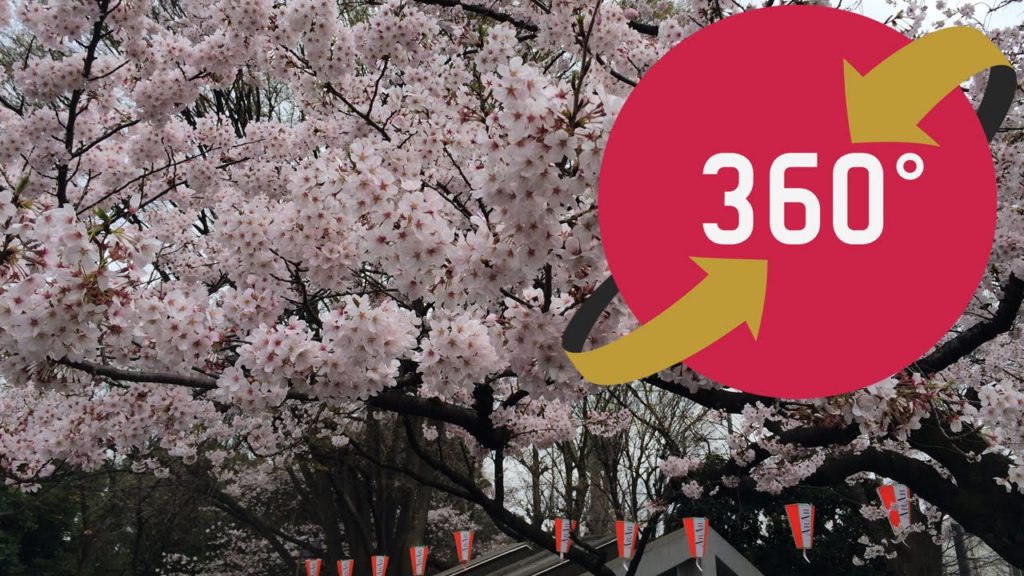 360video Hanami Ueno Park Tokyo - 花見 上野公園 - Japan Travel