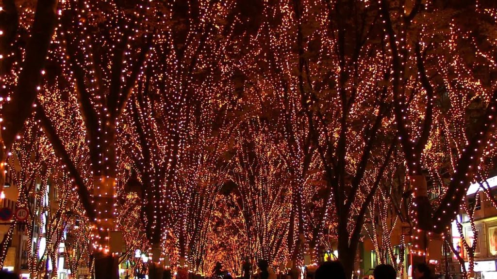 Christmas Lights 2011年仙台光のページェント スターライトウィンク イルミネーション再点灯 Re-lighting the Sendai Pargeant of starlight