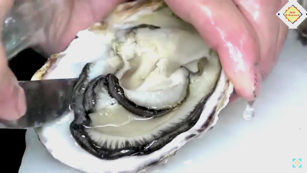 Oysters in Okinawa | Street Food in Japan | Japanese Travel