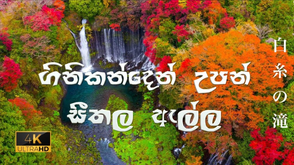 Shiraito Falls (白糸の滝)